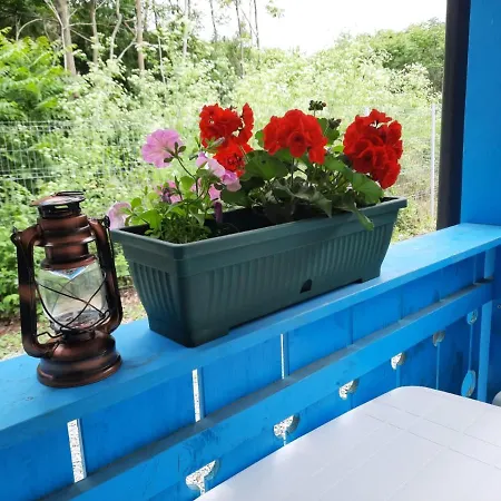 Casa Dobrogea * Jupiter