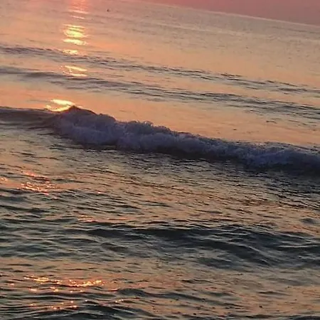 Privatunterkunft Casa Dobrogea Jupiter