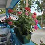 Casa Dobrogea