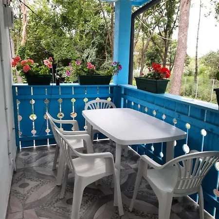 Casa Dobrogea 홈스테이
