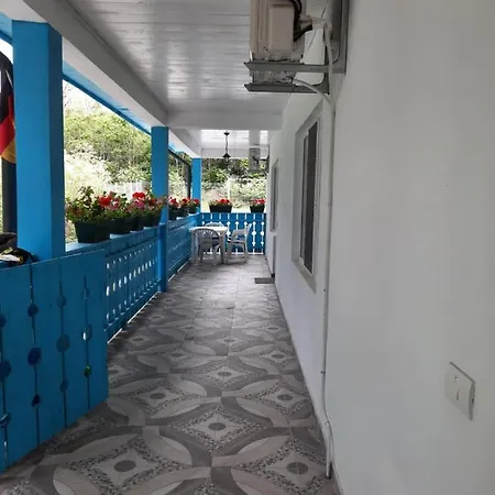 Casa Dobrogea * 주피터