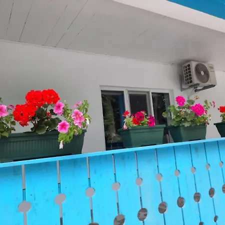 Homestay Casa Dobrogea