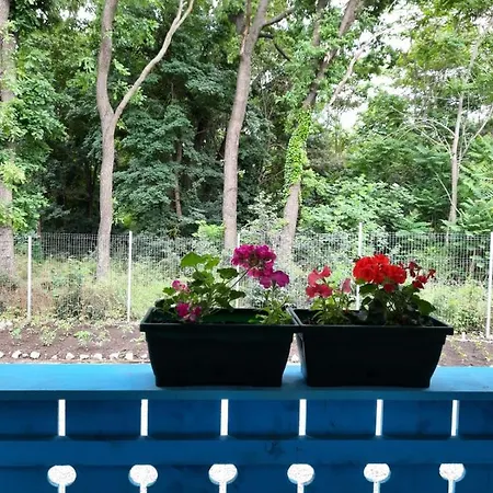 Casa Dobrogea ジュピテル