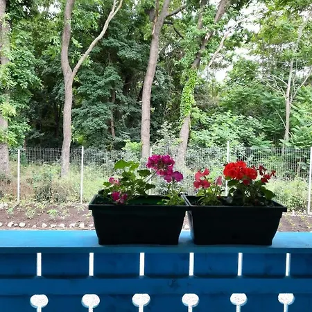 Casa Dobrogea 주피터
