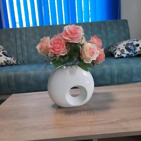 홈스테이 Casa Dobrogea 주피터