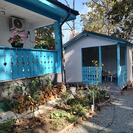 Casa Dobrogea * ジュピテル