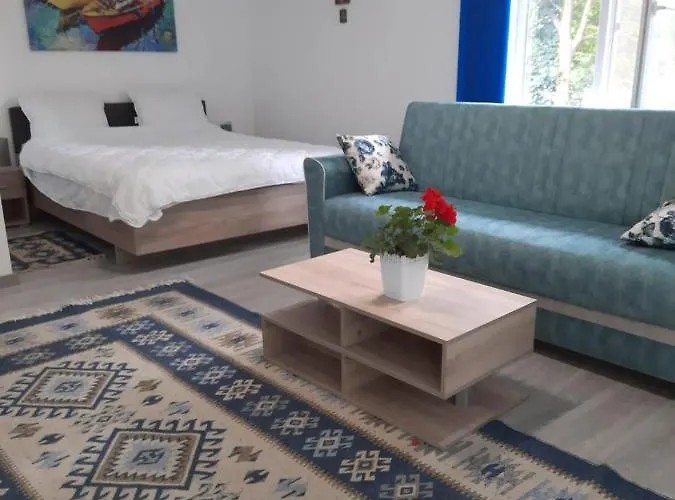 ホームステイ Casa Dobrogea