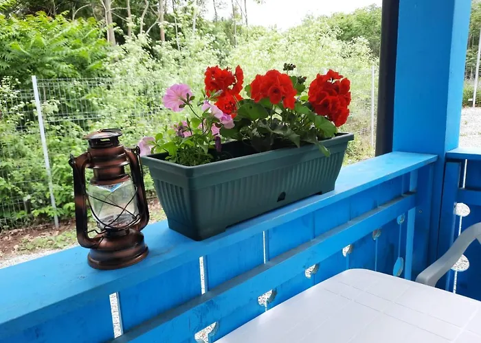 Casa Dobrogea * Jupiter