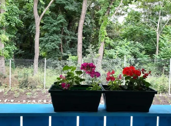 Casa Dobrogea ジュピテル