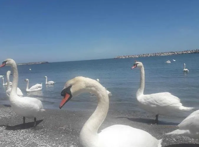 Casa Dobrogea Δωμάτια σε οικογενειακή κατοικία *