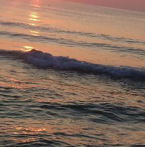 ホームステイ Casa Dobrogea ジュピテル