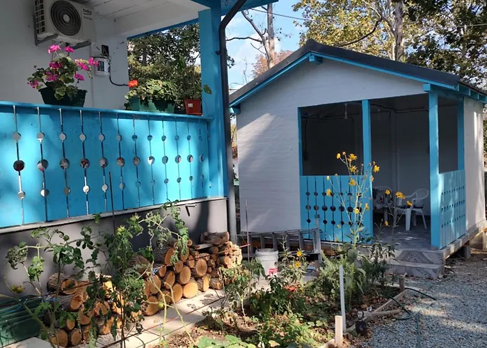 Casa Dobrogea * Jupiter